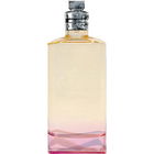 Orange Smoke by Dries Van Noten