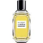 In A Scent von Edward Bess