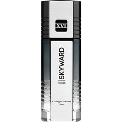 Skyward XVI von Giorgio Monti