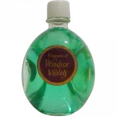 Windsor Violets by Lownds Pateman