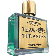 Thaw the Andes by Casaniche