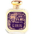 L'Iris von Santa Maria Novella