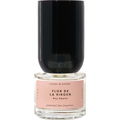 Flor de la Virgen by Boy Smells