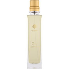 Carino (Eau de Toilette) by La Beauté / La Beauté de L'amour