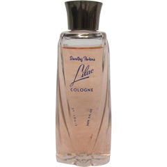 Lilac von Dorothy Perkins