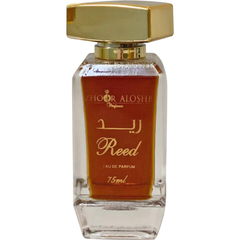 Reed / ريد by Zhoor Aloshb