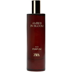 Amber in Bloom by Zara