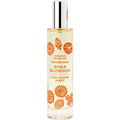 Signature Collection - Shea Blossom (Cologne Mist) by Terranova