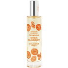 Signature Collection - Shea Blossom (Cologne Mist) by Terranova