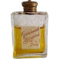 Gardenia Bizzarra von Siade
