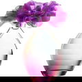 Only Imagine / Flor Violeta von Avon