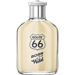 Born to Be Wild by Route 66