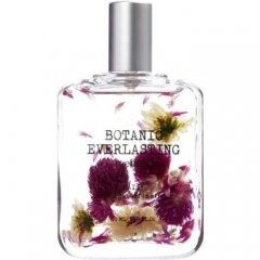 Botanic Everlasting - Daisy von rue21