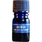 Tree Wisdom Perfume - Gorse von Star Child