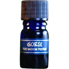 Tree Wisdom Perfume - Gorse von Star Child