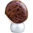 Får (Solid Perfume) von ånd fragrance