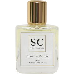 Amber Musk von Scentiments