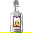 Jockey Club by Alfred Wright