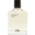 420 Lincoln Road Miami Beach Florida by Zara