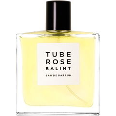 Tuberose von Balint