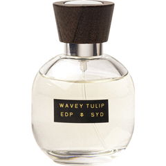 Wavey Tulip by SYD Botanica