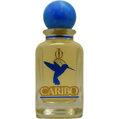 Caribo von Insolitum Odores