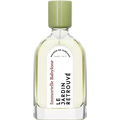 Immortelle Babylone by Le Jardin Retrouvé