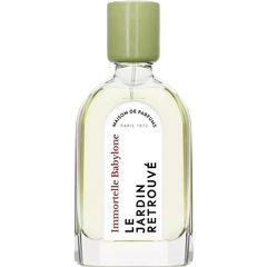 Immortelle Babylone by Le Jardin Retrouvé