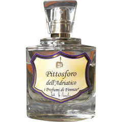 Pittosforo dell'Adriatico von Spezierie Palazzo Vecchio / I Profumi di Firenze