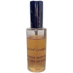 Silver Lining von Parfums d'Armando Martinez