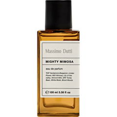 Mighty Mimosa by Massimo Dutti
