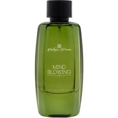 Mind Blowing pour Homme by Bottega Le Essenza