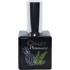 Crazy Rosemary von Indices