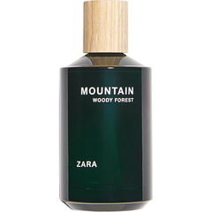 Mountain Woody Forest by Zara