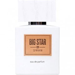 Swan by Big Star