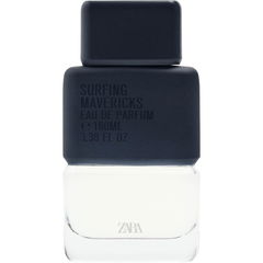 Surfing Mavericks by Zara