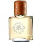 'Ume by Saffron James