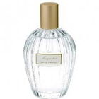 Floral Collection - Magnolia / Magnolia Liliiflora by Marks & Spencer