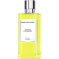 Ginger Cologne by Angel Schlesser
