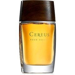Pour Homme N° 11 von Cereus