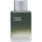 Cedar & Hemp von Aéropostale