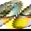 Gold Seed by Cuarzo The Circle