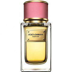 Velvet Rose by Dolce & Gabbana