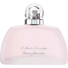 St. Barts Seascape von Tommy Bahama
