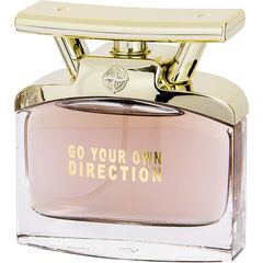 Go Your Own Direction by Georges Mezotti