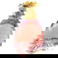 Une Fleur von Frederic M