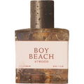 Boy Beach by Atwood