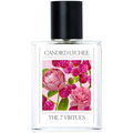 Candied Lychee von The 7 Virtues