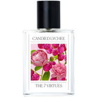 Candied Lychee by The 7 Virtues