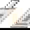 White Leather N°17 von The Master Perfumer